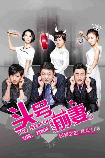 The Starter Wife poster