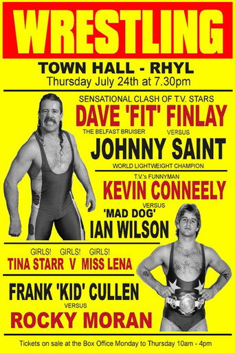 Movie poster for The Fit Finlays (2010)