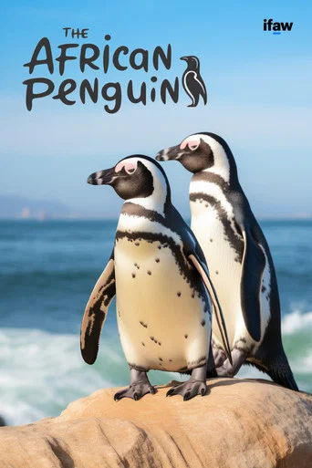 Movie poster for The African Penguin (2009)