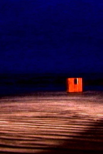 Movie poster for Nuno Ramos: Acidente Geográfico - Investigações (2000)