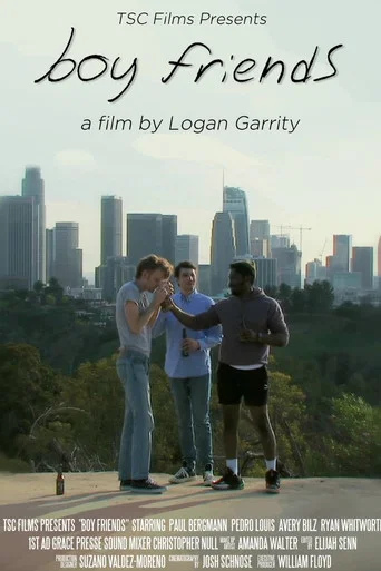 Movie poster for Boy Friends (2025)