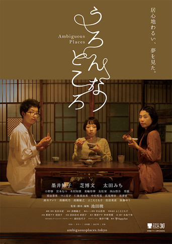 Ambiguous Places poster