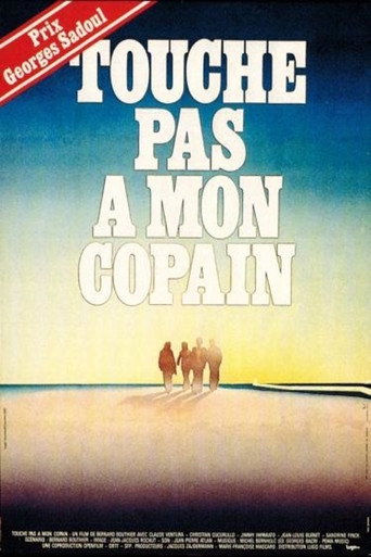 Movie poster for Touche pas à mon copain (1977)