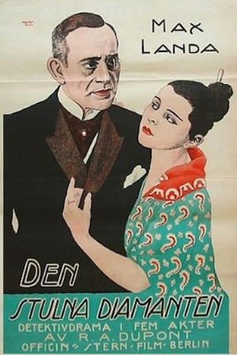The Japanese Woman poster