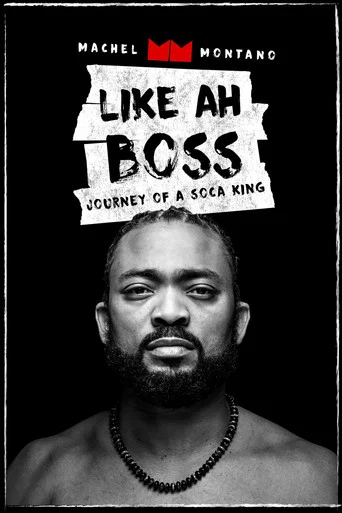 Movie poster for Like Ah Boss: Journey of a Soca King | Machel Montano (2017)