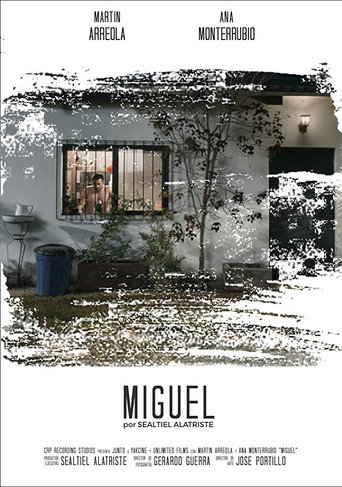 Movie poster for Miguel (2018)
