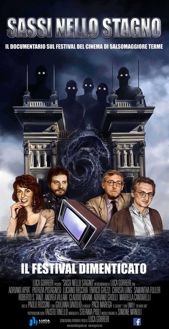 Movie poster for Sassi nello Stagno (2016)