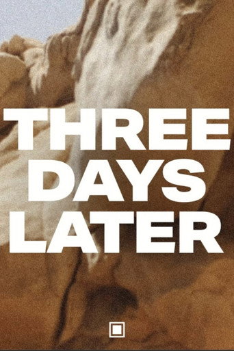 Movie poster for Three Days Later (2021)