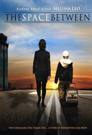 The Space Between poster