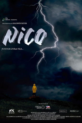Nico poster