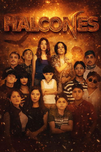 Halcones poster