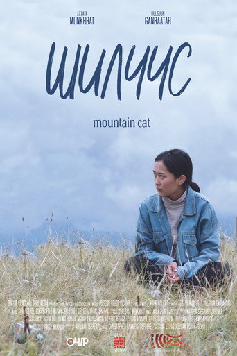 Movie poster for Mountain Cat (2020)