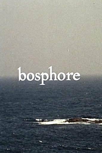 Movie poster for Bosphore (1964)