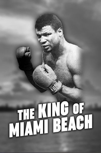 The King of Miami Beach poster