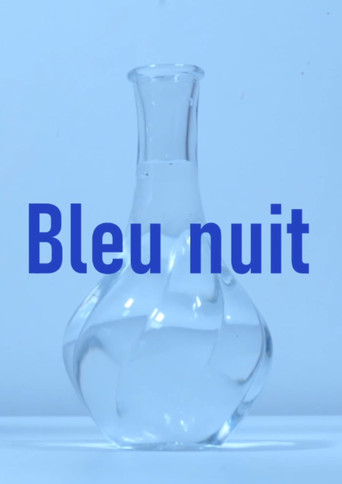 Movie poster for Bleu nuit (2026)