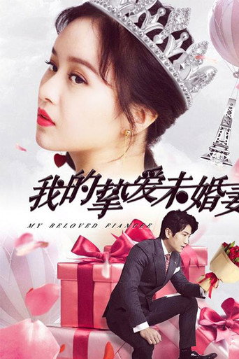 我的挚爱未婚妻 poster