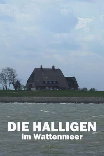 Movie poster for Die Halligen im Wattenmeer (2021)