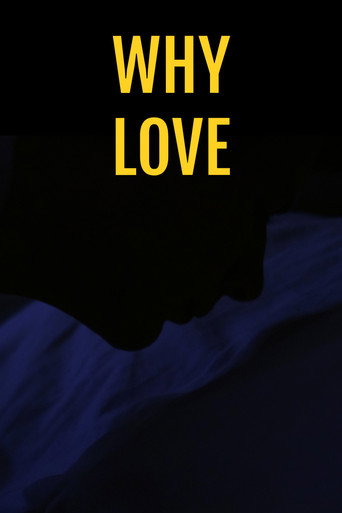 Movie poster for Why Love