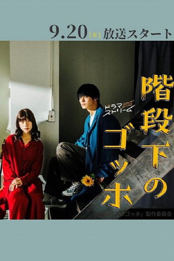 The Van Gogh Downstairs poster