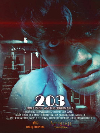 Movie poster for 203: ROOM (2017)