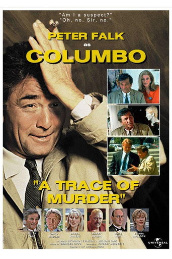 Movie poster for A Trace of Murder