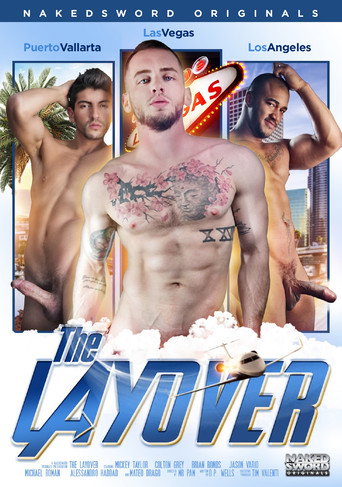 Movie poster for The Layover (2017)