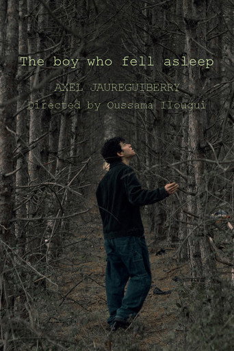 Movie poster for The boy who fell asleep (2022)
