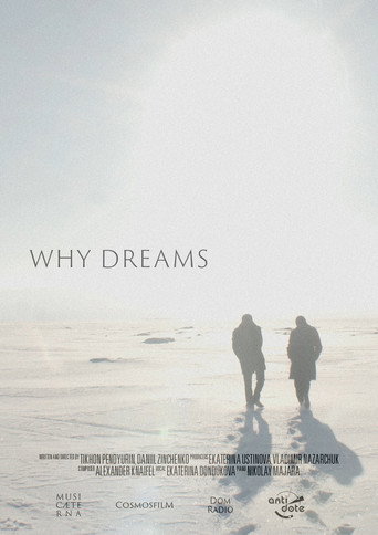 Movie poster for Why Dreams (2021)