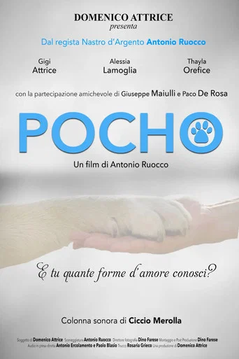Movie poster for Pocho (2023)