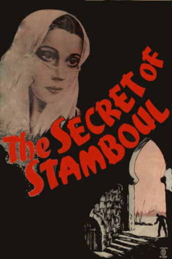 The Secret of Stamboul poster