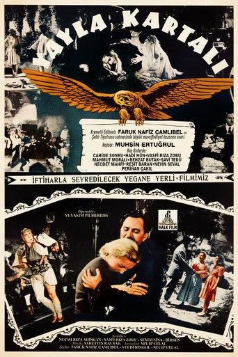 Yayla Kartalı poster