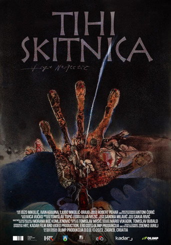 Movie poster for Tihi Skitnica