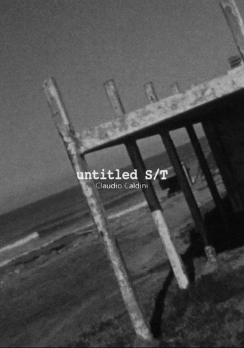 Movie poster for Untitled S/T (2015)