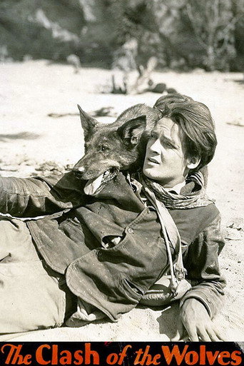 Movie poster for Clash of the Wolves (1925)