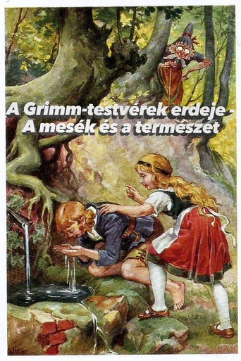 Movie poster for Im Märchenwald der Gebrüder Grimm (2021)