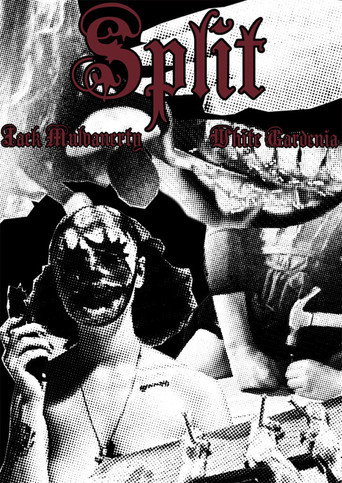 Movie poster for Split (2022)