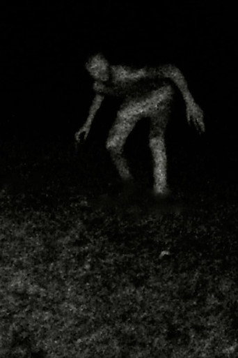 Movie poster for Stalking (2023)