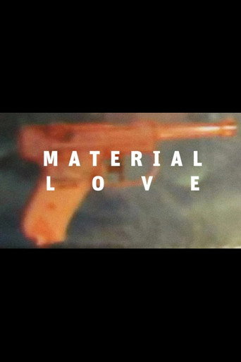 Movie poster for Material Love (2011)