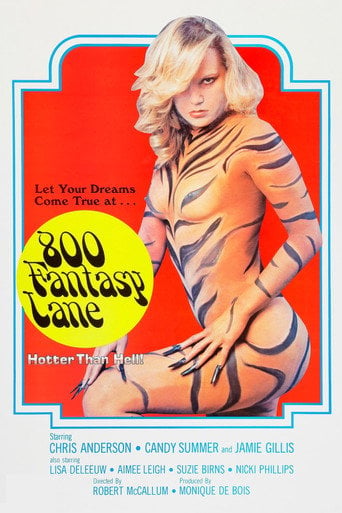 Movie poster for 800 Fantasy Lane (1979)