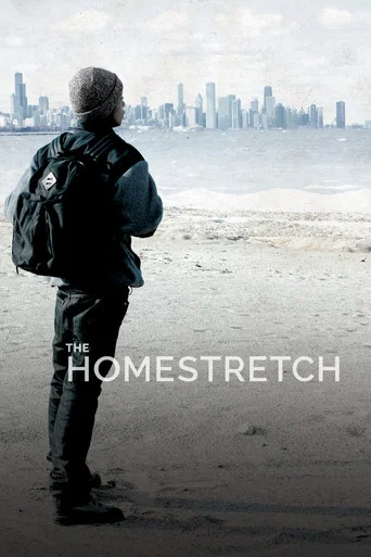 Movie poster for The Homestretch (2014)