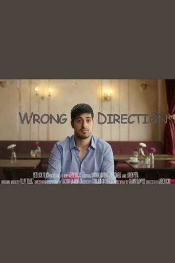 Movie poster for Wrong Direction (2017)