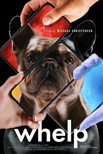 Movie poster for Whelp (2025)