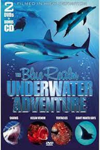 Ocean Odyssey: The Blue Realm poster