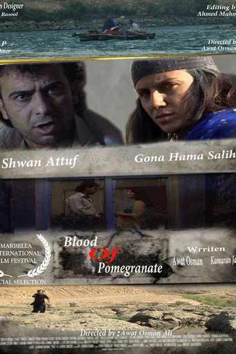 Movie poster for Blood of Pomegranate (2011)