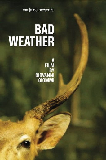 Movie poster for Bad Weather (2011)