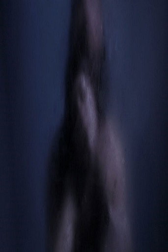 Movie poster for Baisers Nocturnes (2014)