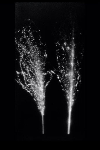 Movie poster for Fukushima, Autoradiography