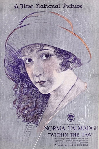 Movie poster for Within the Law (1923)
