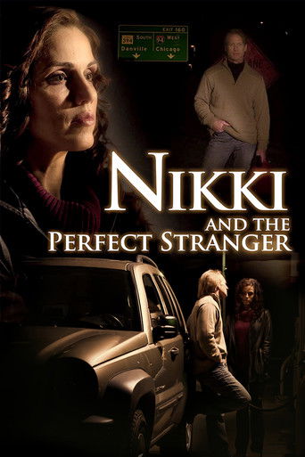 Nikki and the Perfect Stranger poster