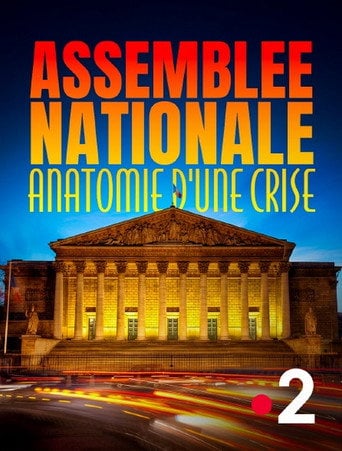 Movie poster for Assemblée nationale, anatomie d'une crise (2024)